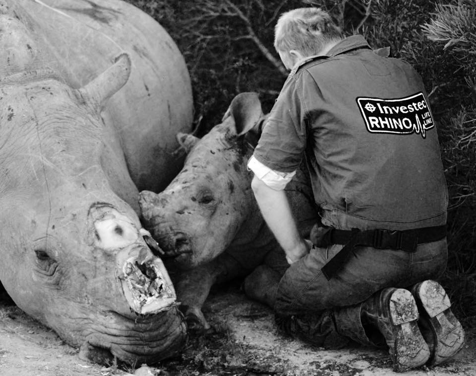 Protect_Wldlife's tweet image. Mother #Rhino &amp;amp; 3 month old baby killed last week! The baby was shot as he was running around his mum!! @rickygervais