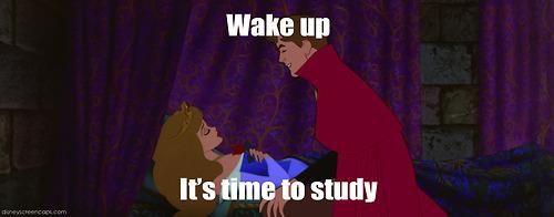 UARKLibraries's tweet photo. Don't forget that Mullins is open 24 hours today!! #uark #trytostudy http://t.co/inpyL2HA3I