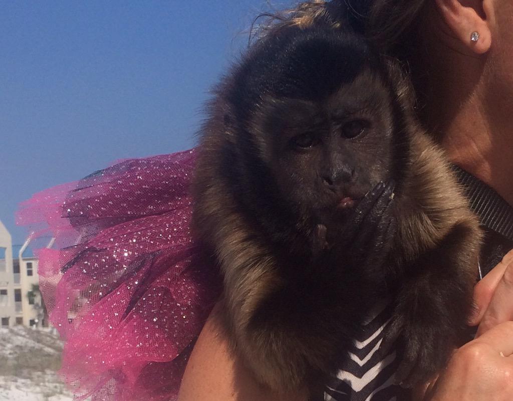 anderson_nickie's tweet photo. The things me and @jessmarkowski find at the beach... http://t.co/FclAKxKEpw