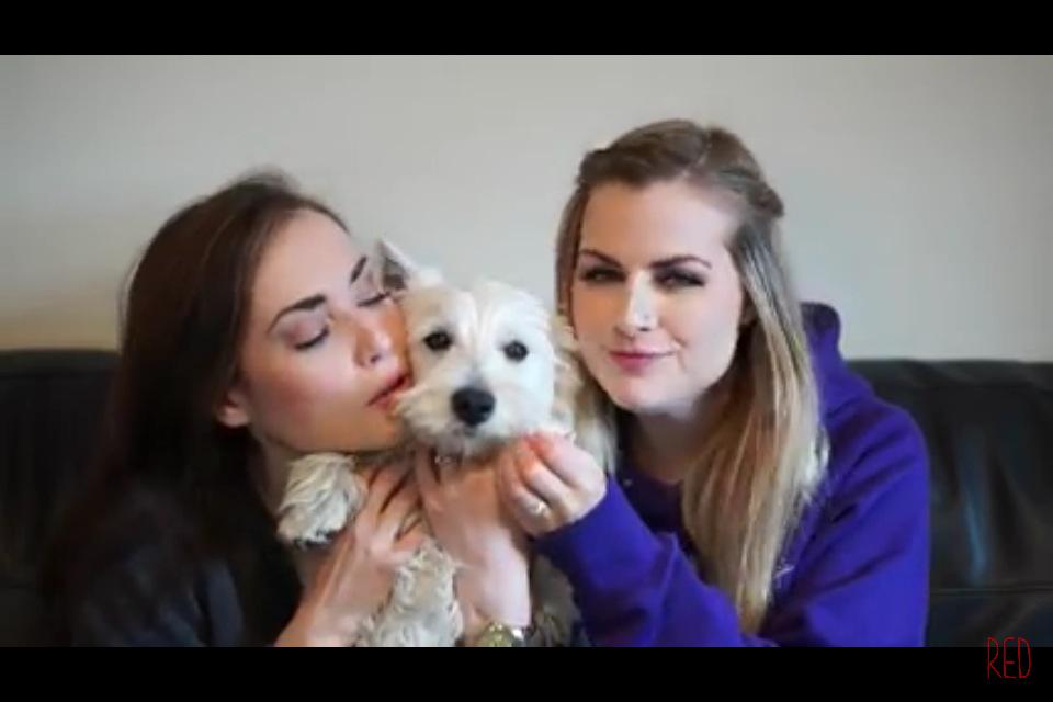 AlexShore8's tweet photo. @RoseEllenDix @RoxeteraRibbons I think Wilma and my dog Coco should have a puppy play date ❤️and I loved the video http://t.co/JlVR34cynJ