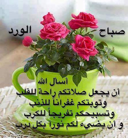 khalidawed90 tweet picture