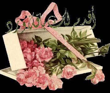 majedak901's tweet photo. @w_w60_w http://t.co/fQCeWwYHJw