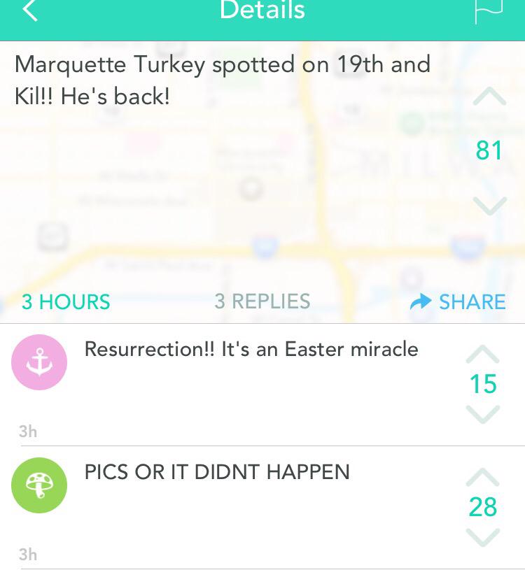 MU_Turkey's tweet photo. It's true, I'm back. #GobbleGobble http://t.co/U6WZRWYiMq
