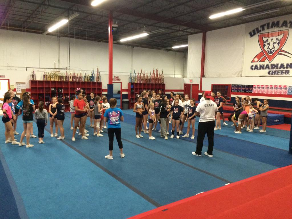 Cheer Sport Sharks Toronto tweet media