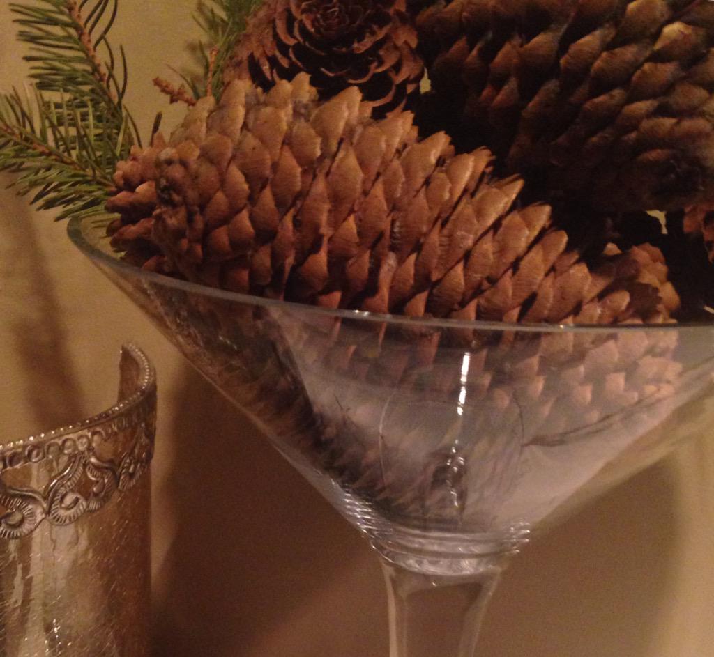 ElisabetAraujo's tweet image. Bringing the outdoors inside with a nice northern feel #diy #homedecor #simpleidea