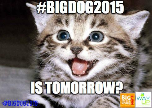 WayUpSac's tweet image. To echo @JaySchenirer, we're stoked for #BIGDoG2015 tomorrow!