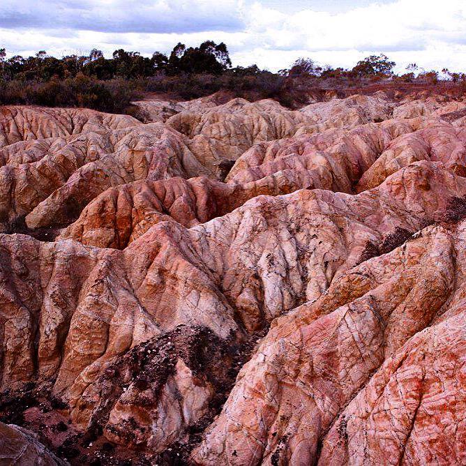 HeathcoteBNB's tweet photo. 4 amazing photo spots in Heathcote #PinkCliffs #LancefieldTooboracRd http://t.co/nAQYWpib7g