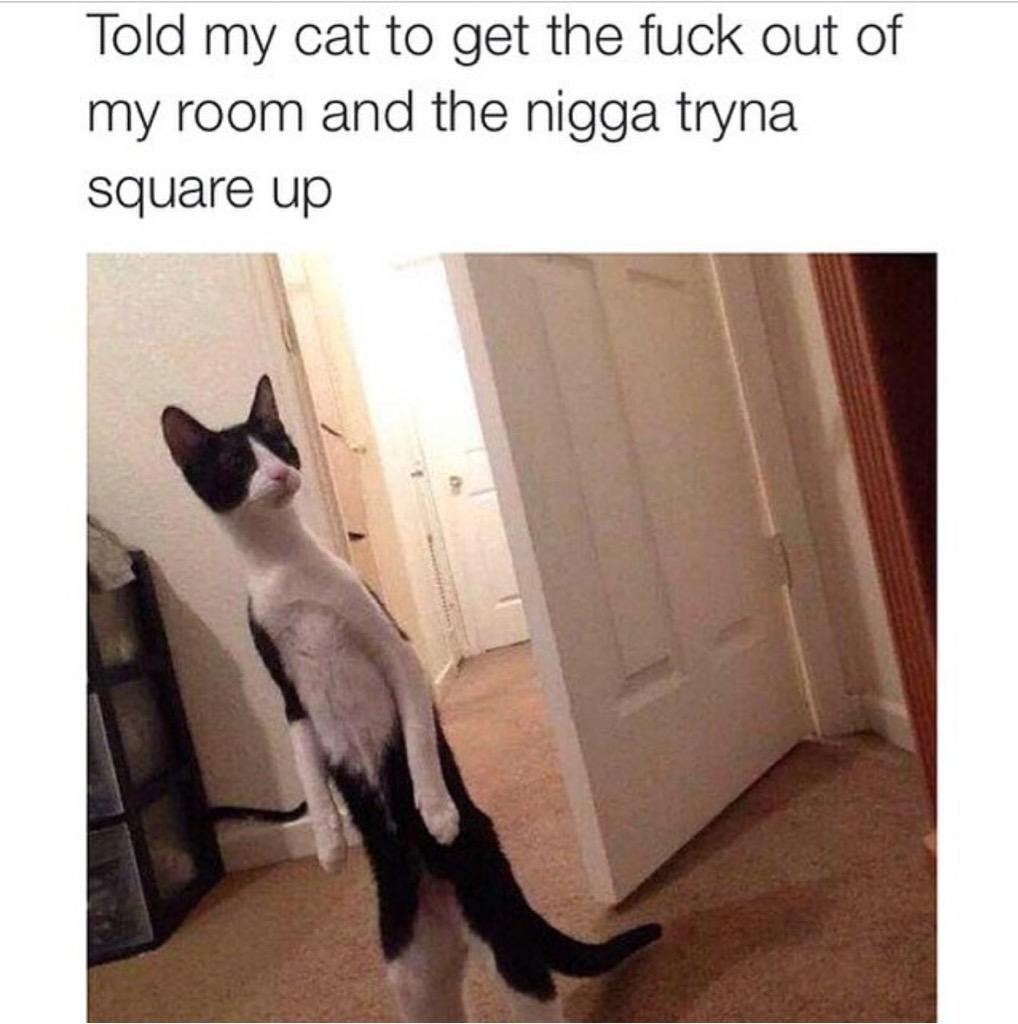 😹💀💀
