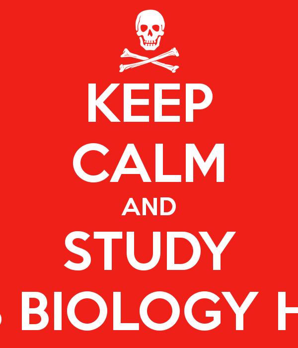 StubbsScience's tweet image. Exam tomorrow, go kill it.