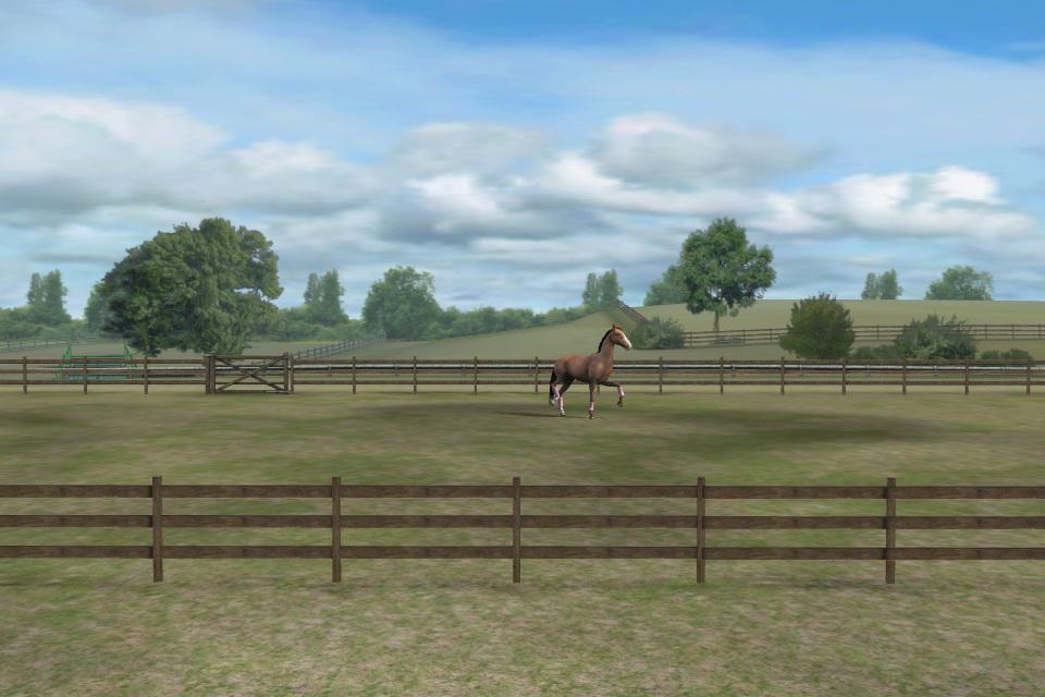 Sieh dir mein Foto an! Füge mich hinzu, Mathildeglaser. #MyHorse  nmgam.es/horse_twitter