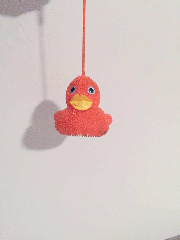 sophecolll's tweet photo. GUYS!!!!!!! #duckyisback http://t.co/5VIH04Ja5W