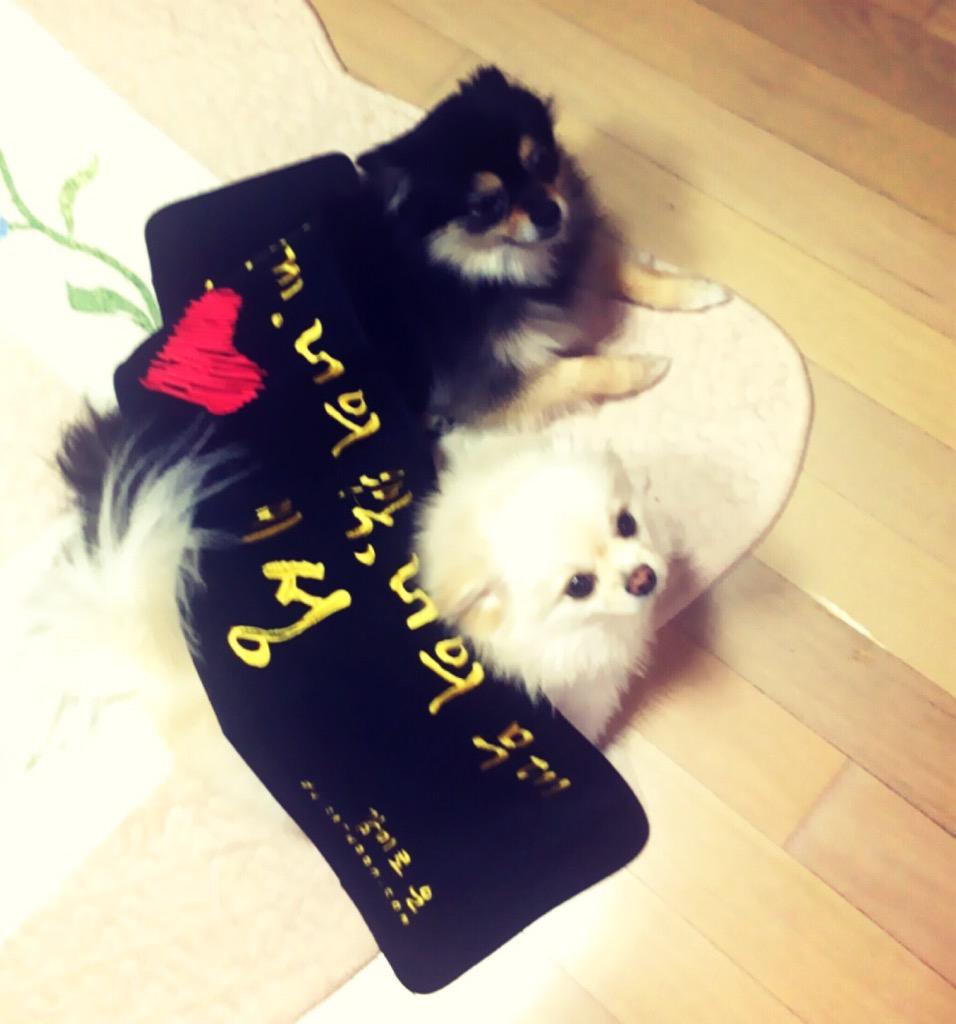 I am back as Yesung! Thank you E.L.Fs for waiting for me for 2 years. I'll pay you back by singing 💙