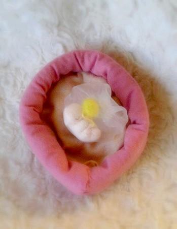 O Xrhsths 赤ちゃん人形製作 Coron コロン Sto Twitter 子宮体部の中に胎嚢が確認されると妊娠が確定されます ２カ月胎芽としてお作りしている大きさは2 2 5cm 1 5 2g 胎芽 赤ちゃん人形 Http T Co B0qjwyjfbb Http T Co Wrxzhfdfxx