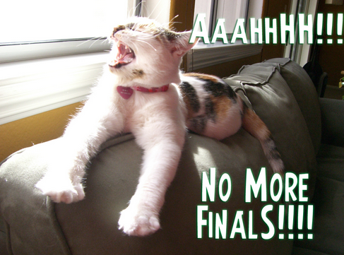 ASUBBRUN's tweet photo. Retweet if you  aren't studying for finals http://t.co/FTxs4fP0iX