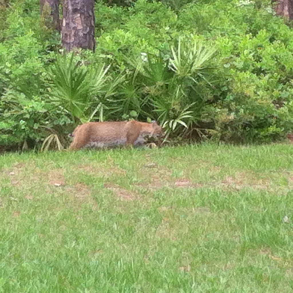 SendOutCards (@sendoutcards01) on Twitter photo 