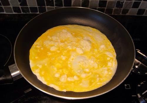 LaVidaSeRieDeMi's tweet photo. Como hacer un omelette ft. Rihanna #MetGala http://t.co/jtDp9meDQA