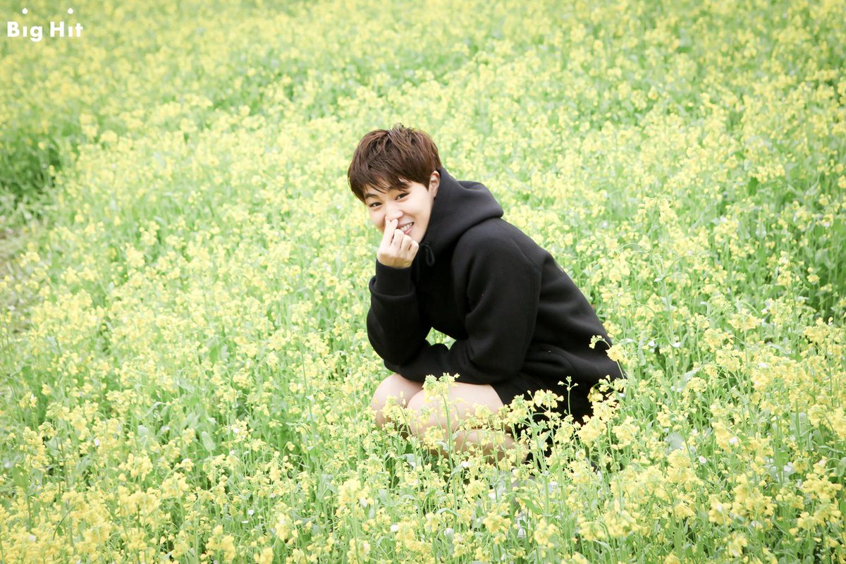 Чимин бтс. Пак чимин. Jimin garden. Бтс пак чимин. Jimin garden.