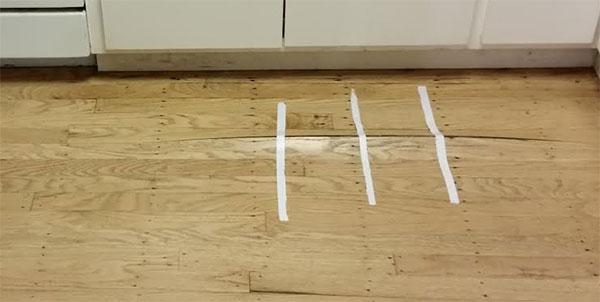 Snnyvale Hashtag On Twitter