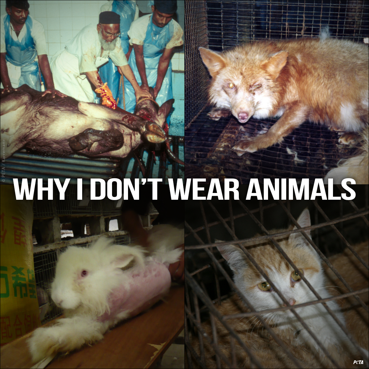RT if you wouldn't wear anything that once had a face. #WearYourOwnSkin