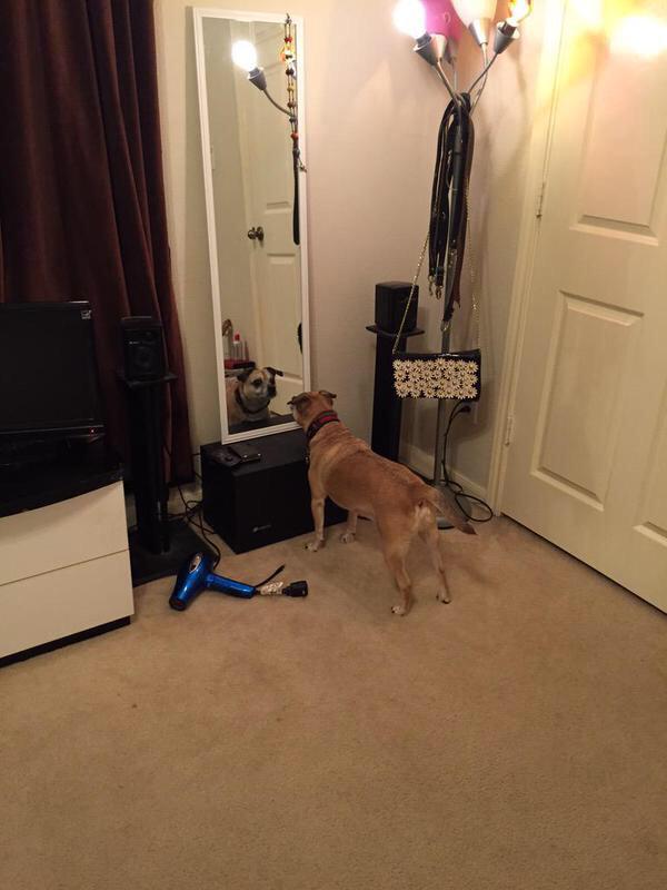 TheDrunkStory's tweet photo. when ur drunk as hell &amp; finally see what you've looked like all night http://t.co/qTeYt7UPY4