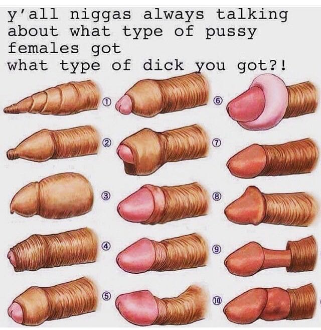 Types Of Penis Pictures 120