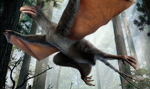 Embedded image permalink