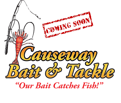 causeway_bait's tweet photo. Excited to announce we will be carrying #toplesshooker at the shop! #inshore #livebait #offshore #nsb @ToplessHooker http://t.co/Bg47jPNanr