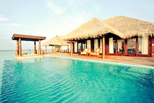 Travel To Maldives tweet media