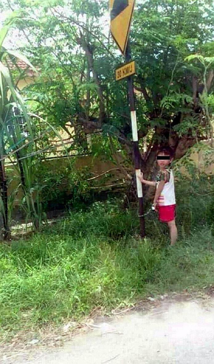 Embedded image permalink