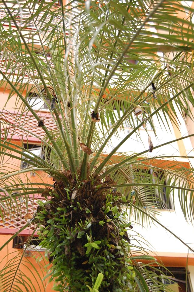 Embedded image permalink