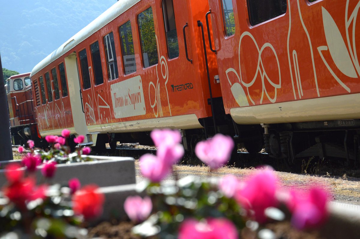 Sciopero Trenord di lunedì 16 giugno, si rischiano ritardi e disservizi dei  treni in Lombardia: gli orari e le fasce di garanzia - Open, image size:1200x798