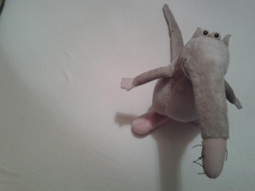 barbera (@barbera) on Twitter photo 