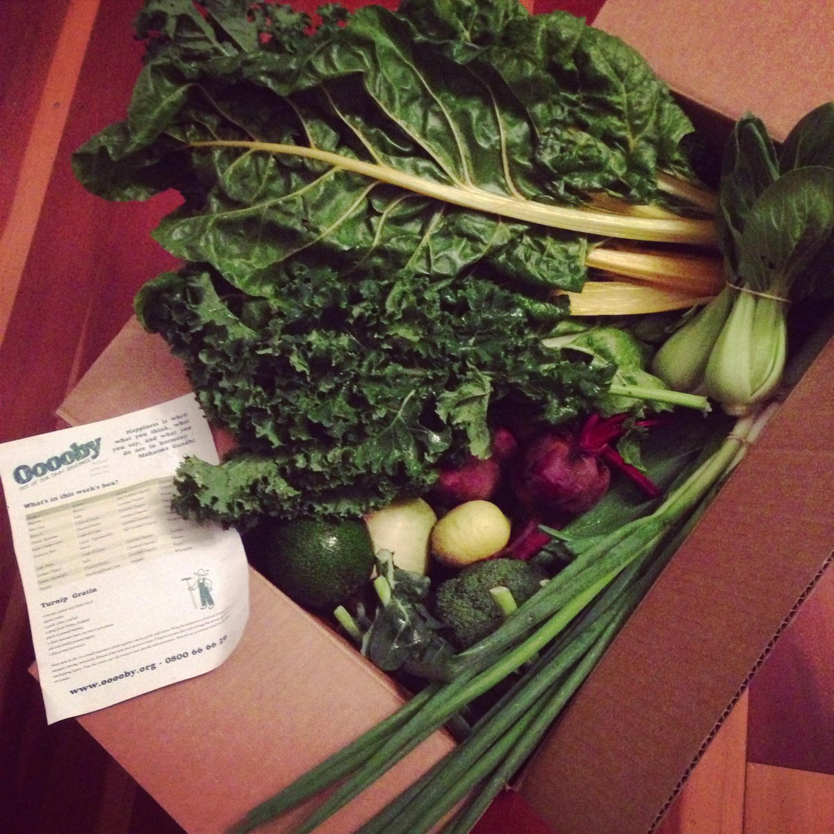 OrganicMC's tweet photo. Stoked to get our first #organic #vegetable #delivery box from @Ooooby Auckland. Chur! #revolutionizingfood #buylocal http://t.co/OJx5l7gl9g