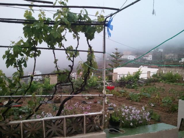neniyg's tweet photo. @paisajecanario @alexgarcia_web @ManuelArtilesA y en el sur amanece mojado #escobonal #aguaaguita http://t.co/KrjT1aIqTJ