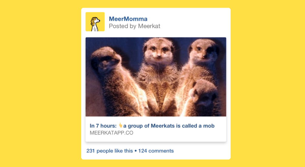wearesocialit's tweet photo. #Meerkat introduce la possibilità di condividere i Live sulla propria Facebook Page 🎥 https://t.co/Gt9iisufJz http://t.co/IhSPwIGYNI