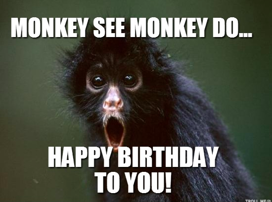 Zelfies's tweet photo. OPROEP: begeef je vandaag allen naar @Zelfies  want de Monkey Chief is jarig! Kom hem kussen, knuffelen, proeven! http://t.co/EaLPcZDLpn