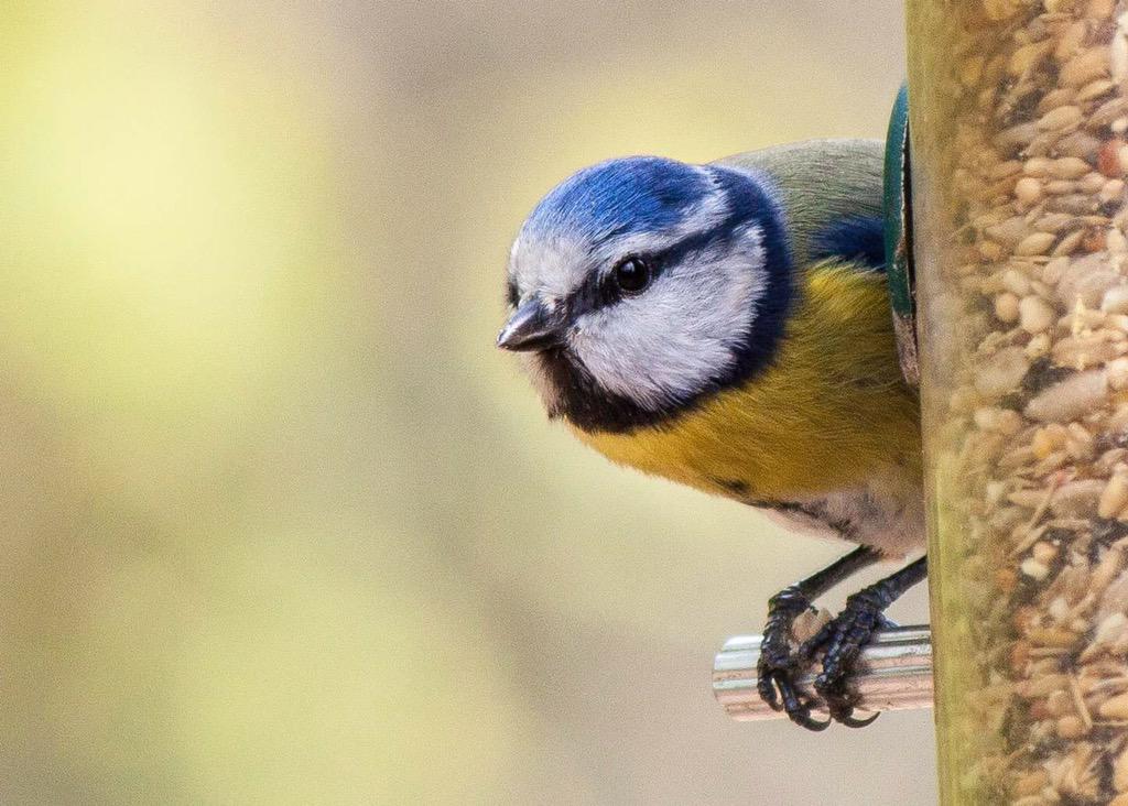 Fountains Abbey yesterday #photography