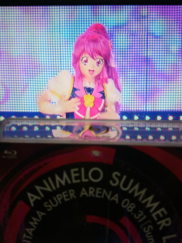 義海豹 アザラシ No Twitter アニサマ14 8 31のbd見た プリキュアサマーレインボー プリキュアメドレー14 アニサマver でも まめぐラブリーのセリフ この胸に愛がある限り このキュアラブリーは無敵なんだからー が聴けて感動 Http T Co