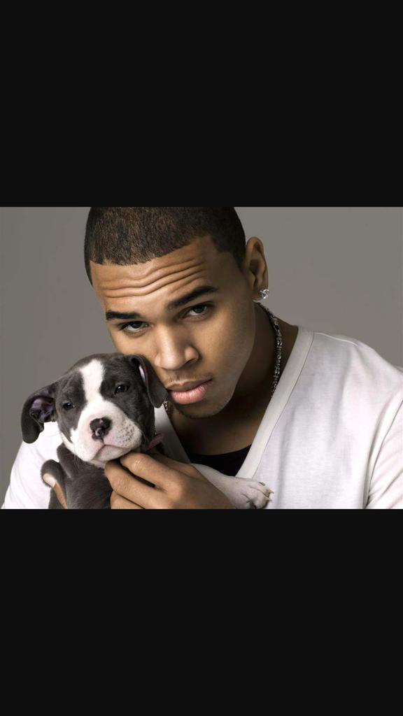 Happy birthday Chris Brown.... (sorry ur in trouble again tho) 