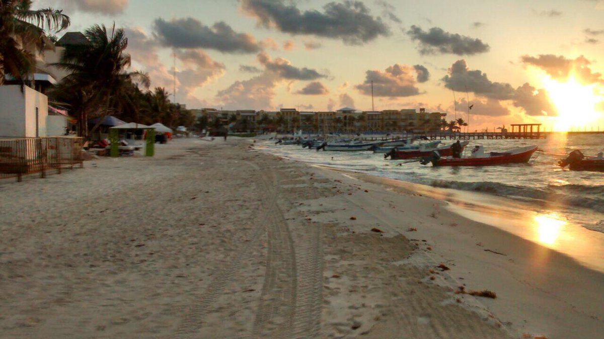 TesoreríaSolidaridad tweet media