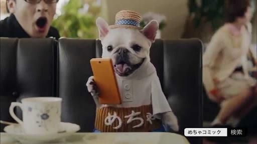 めちゃコミックcmの腹巻犬 本物かcgかなど正体を徹底議論 249planet フシギプラネット