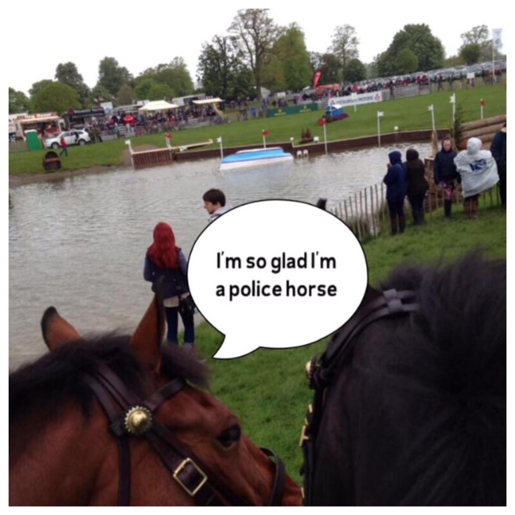 ASPoliceHorses's tweet photo. We'll be patrolling at this weekends Badminton Horse Trials #MMBHT http://t.co/aP25HrnKCz