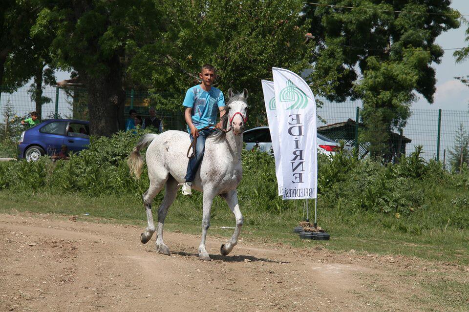 Kakava ve Hıdırellez Şenlikleri 4. Geleneksel At Yarışları'nın kazananları belli oldu >> fb.me/38N4Hd3zr