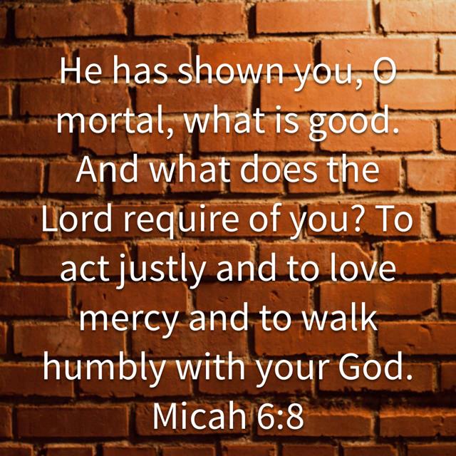 Rhonda Dickherber tweet media