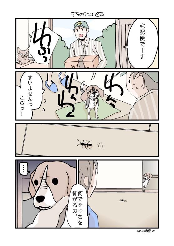 謎です。 