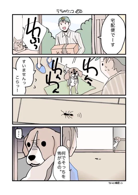謎です。 
