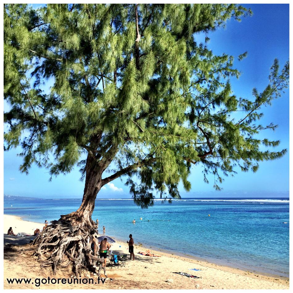 gotoreunion's tweet photo. Bonne semaine Zot toute :) #gotoreunion #playa #ermitage #team974 #vacances974 #ilovereunion http://t.co/YJUfDwAuYY