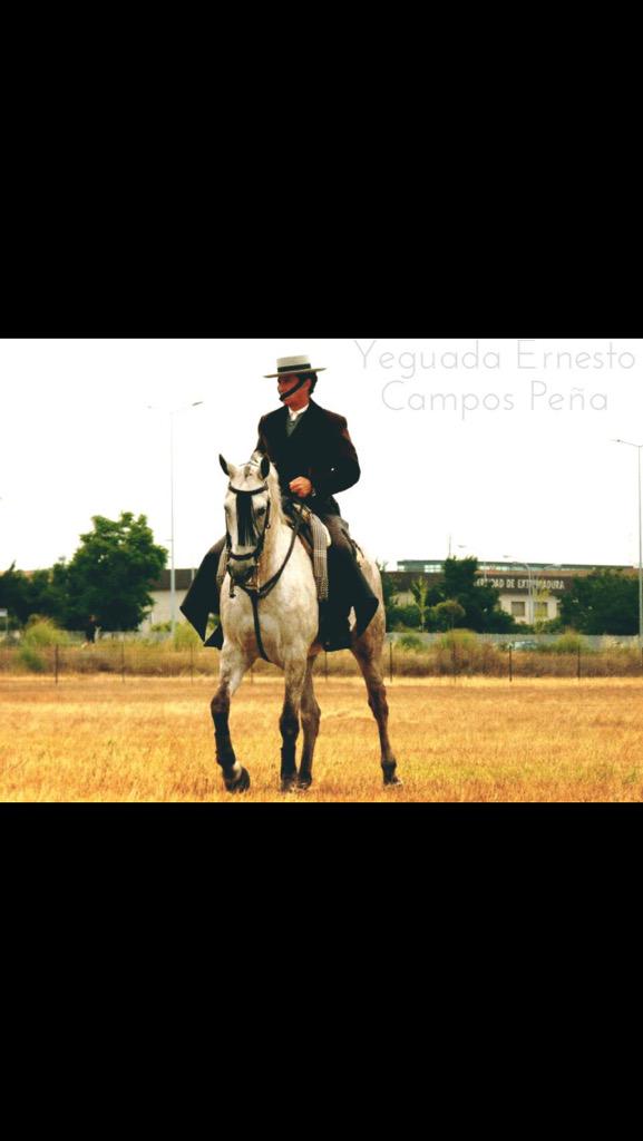 Concurso nacional de acoso y derribo Don Ernesto Campos Peña sobre Indio I