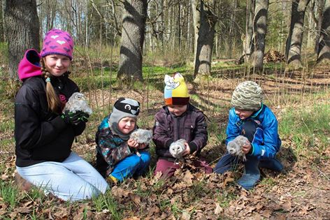 Vēl ir iespēja pievienoties pūču mazuļu gredzenošanas pasākumā rīt! Vairāk info telefoniski <a href="/Avotans/">Avotāns</a> 26624787!
