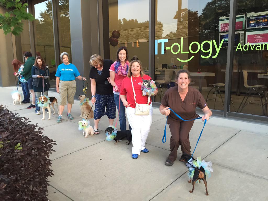 LonnieEmard's tweet photo. I'm not tweeting but rather barking for a home @IT_oLogy @PawmettoLife donate today http://t.co/Hj59nnPZ72